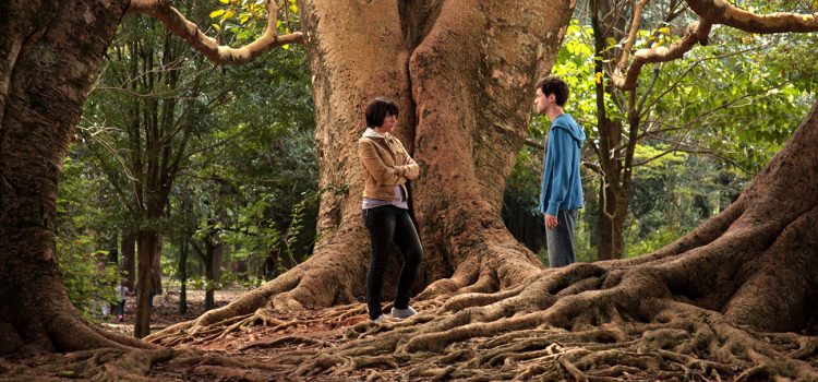 O que se Move | Projeto Alumiar O que se Move | Projeto Alumiar