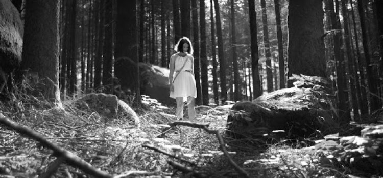 Cinema da Fundação leva debate da Fundaj sobre iberismo para dentro de sua programação